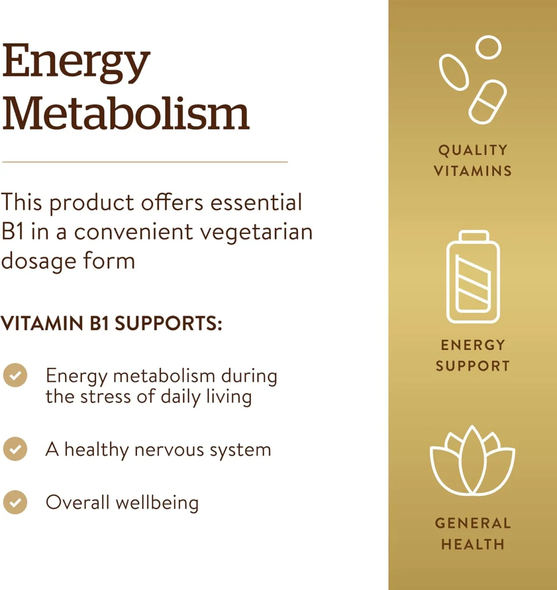 Solgar Vitamin B1 (Thiamin) - 500 mg - 100 Tablets