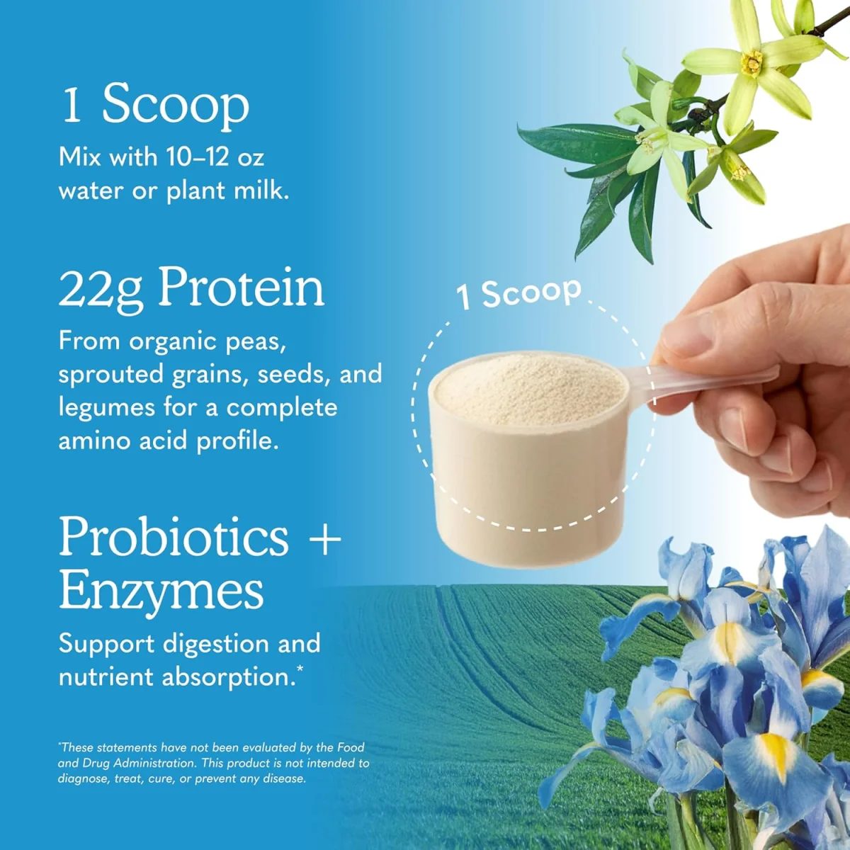 Garden of Life RAW Organic Protein Plant-Based Formula Vanilla - 23.28 oz