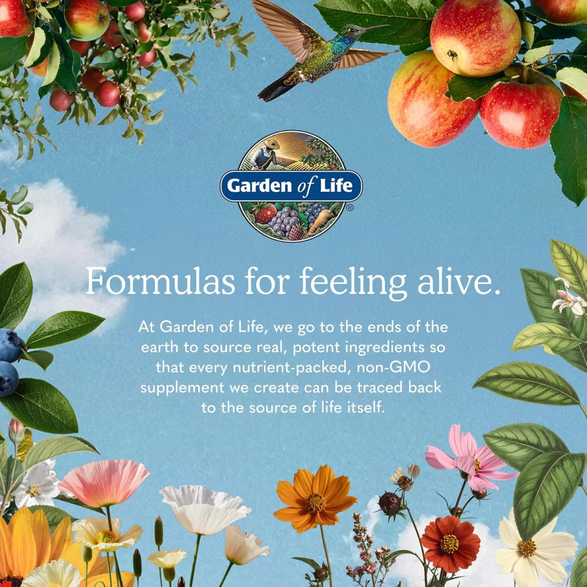 Garden of Life RAW Organic Protein Plant-Based Formula Vanilla - 23.28 oz