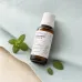 Seedeory Peppermint Essential Oil, 100% Pure - 1 fl oz - Image 2