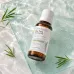 Seedeory Tea Tree Essential Oil, 100% Pure - 1 fl oz - Image 2