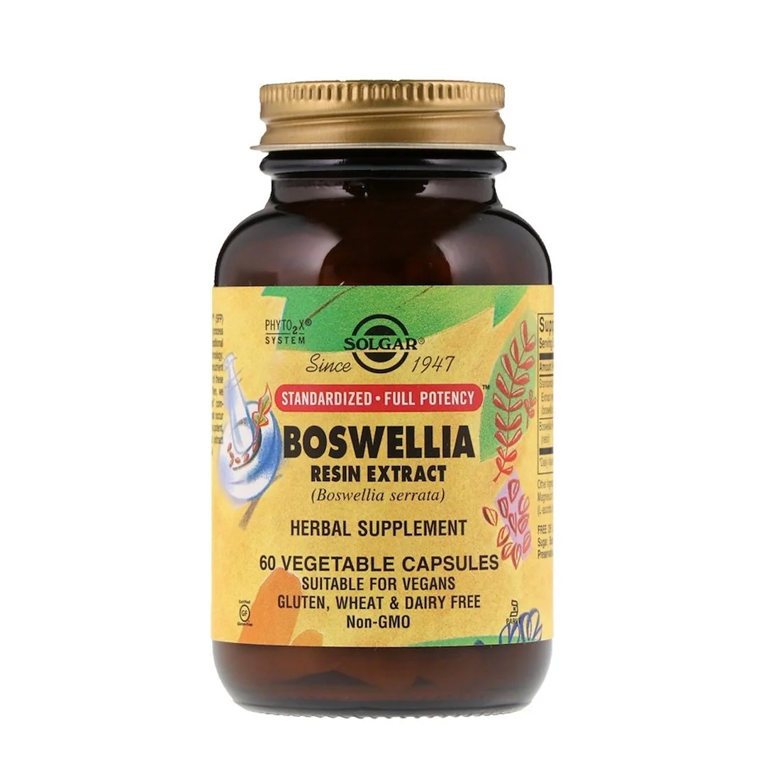 Solgar Boswellia Resin Extract - 60 Vegetable Capsules