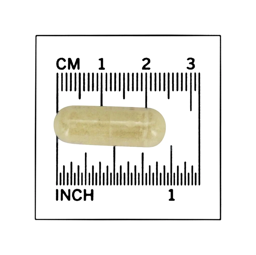 NOW Chitosan - 500 mg - 240 Capsules