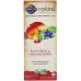 Garden of Life Organics Plant Iron & Organic Herbs Liquid Cranberry-Lime - 8 fl oz - Image 1