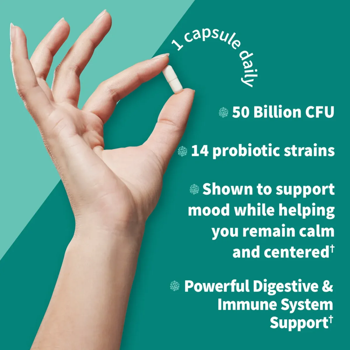 Garden of Life Dr. Formulated Probiotics Calm Pre + Pro + Postbiotics - 50 billion - 30 Vegetarian Capsules