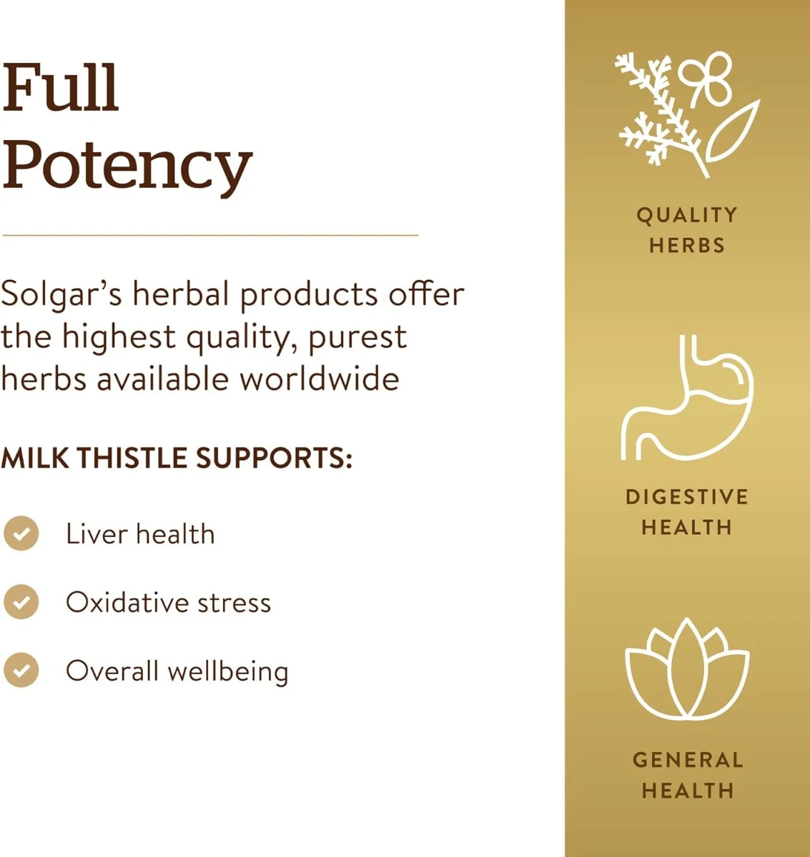 Solgar Milk Thistle - 100 Vegetable Capsules