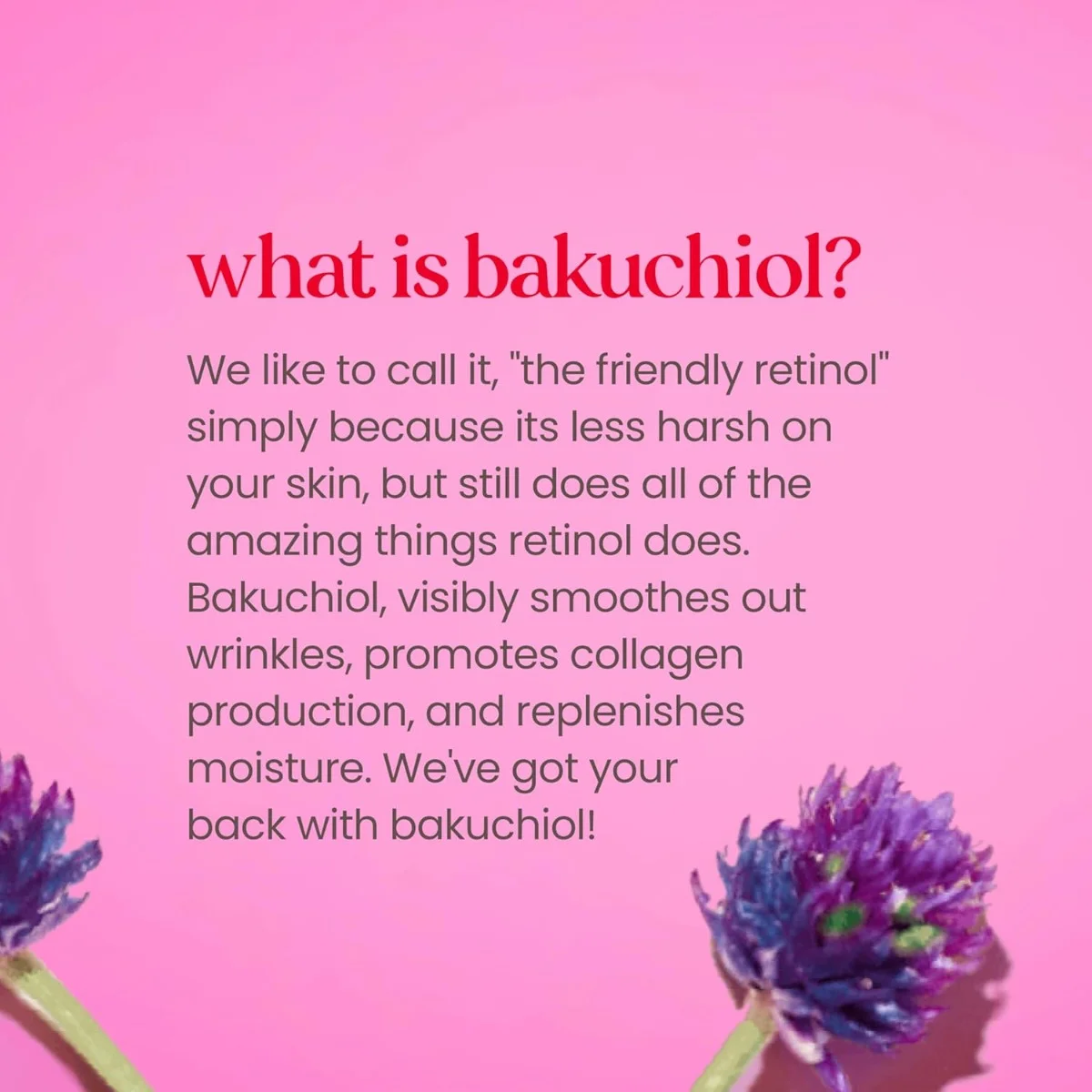 Burt's Bees Renewal Firming Day Lotion SPF 30 1.8 oz.