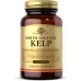 Solgar North Atlantic Kelp - 250 Tablets - Image 1
