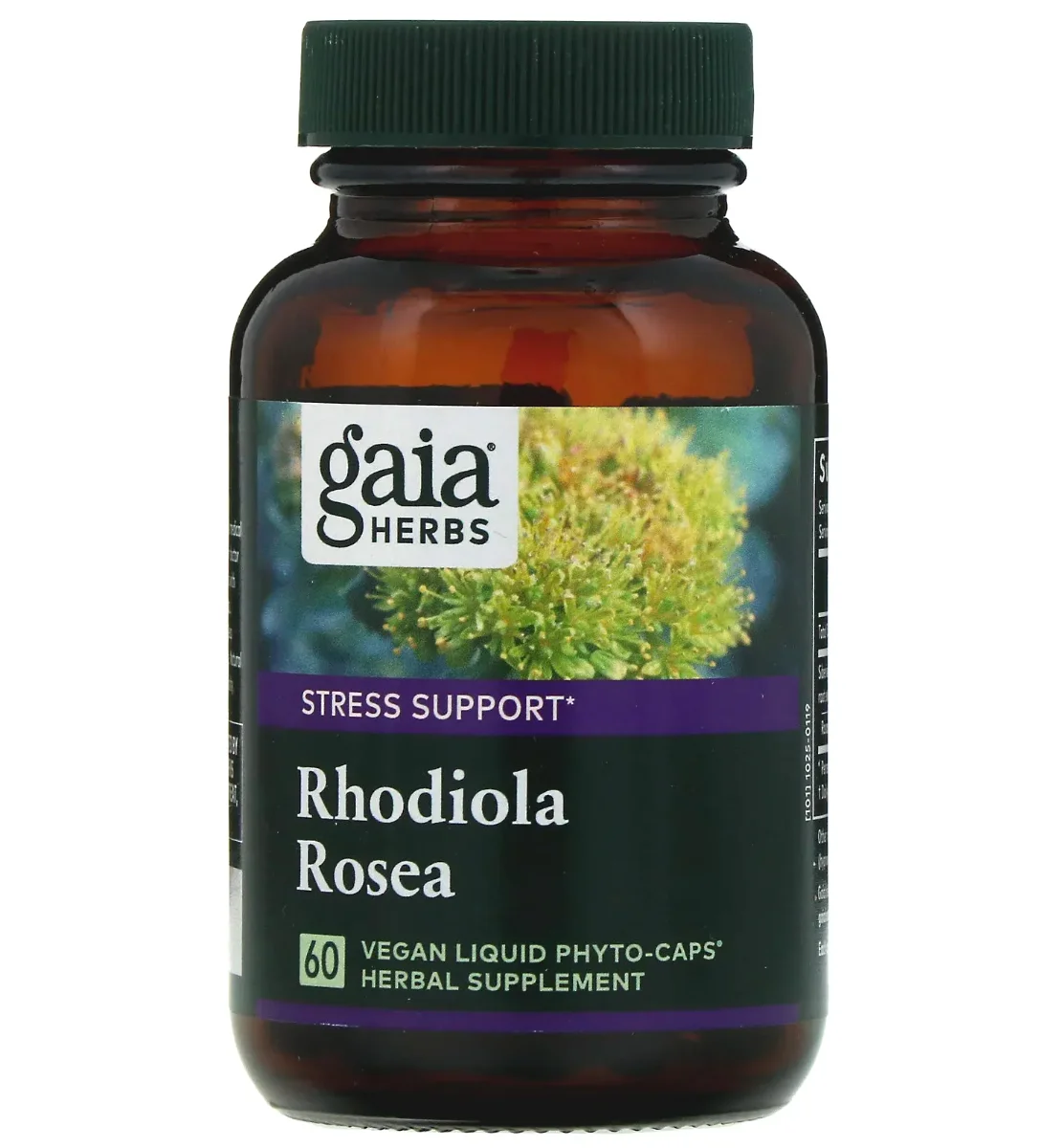 Gaia Herbs Rhodiola Rosea - 60 Liquid Phyto-Caps