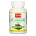 Jarrow Formulas Highly Concentrated Elderberry Extract 60 Veggie Caps - Image 1