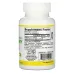 Jarrow Formulas Highly Concentrated Elderberry Extract 60 Veggie Caps - Image 2