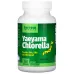 Jarrow Formulas Yaeyama Chlorella 150 Capsules - Image 1