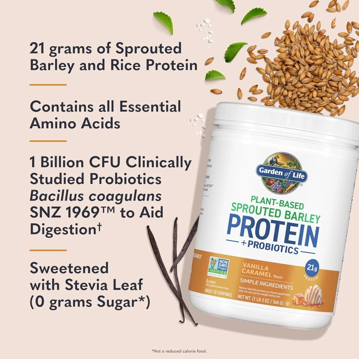 Garden of Life, Plant‑Based Sprouted Barley Protein + Probiotics, Chocolate, 1 lb 4 oz (564 g)