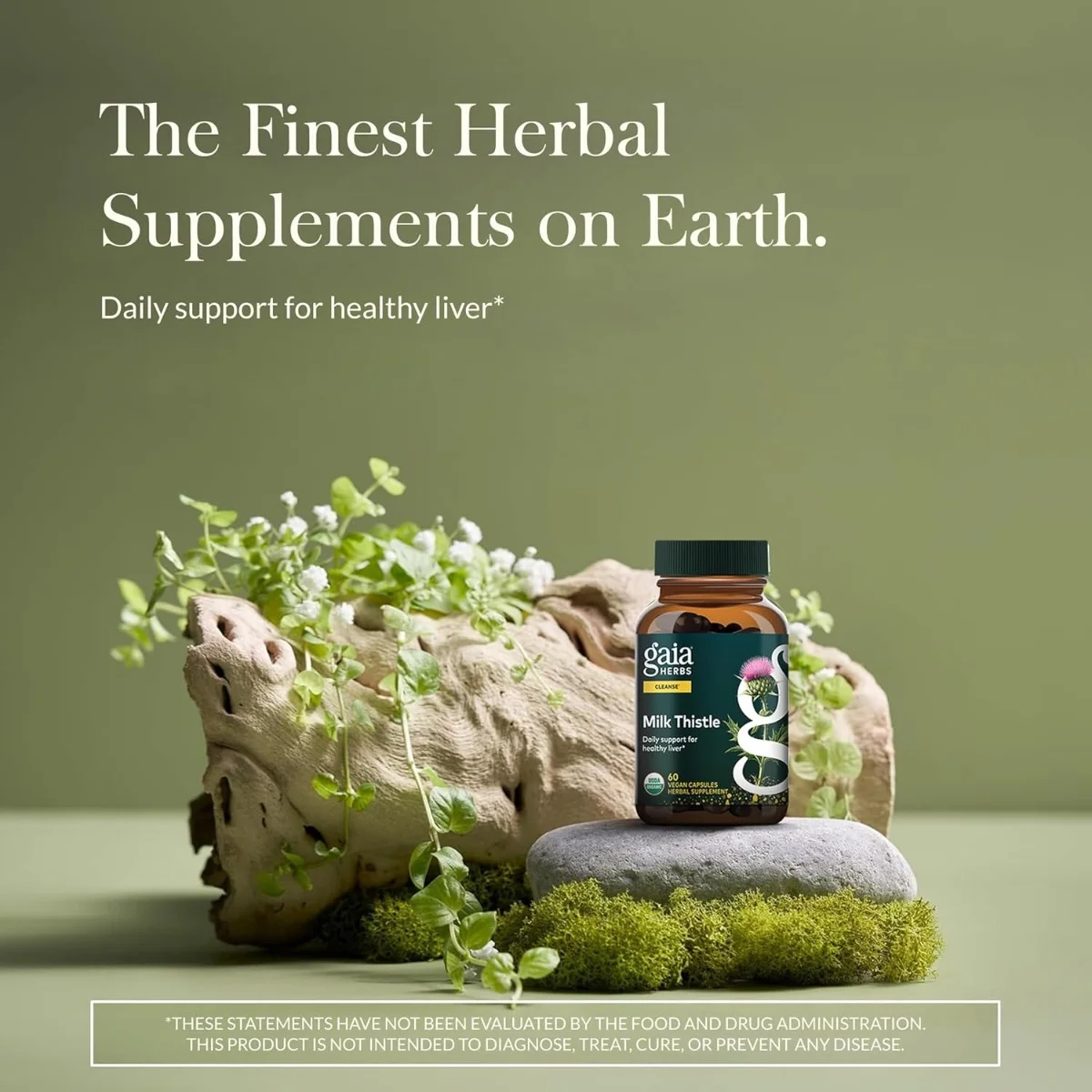 Gaia Herbs, Milk Thistle, 60 Vegan Capsules