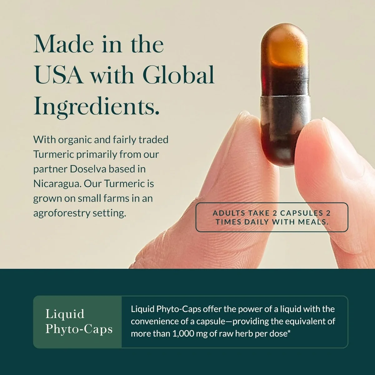 Gaia Herbs Turmeric Supreme Joint Health 60 Liquid Phyto-Caps (30 Servings)