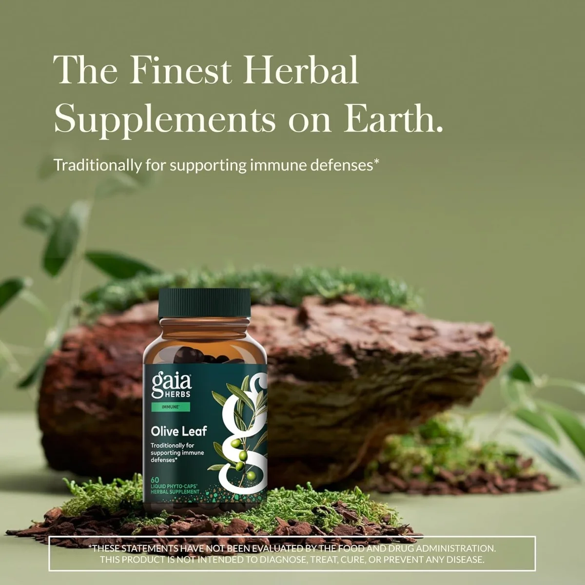 Gaia Herbs, Olive Leaf, 60 Liquid Phyto-Caps® (680 mg per Capsule)