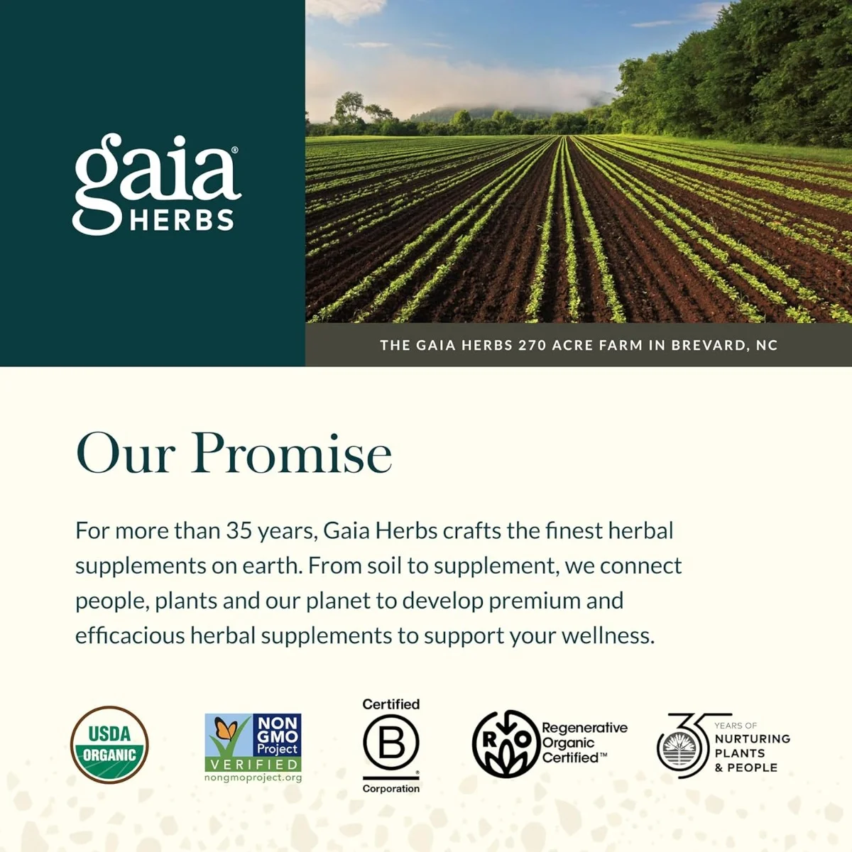 Gaia Herbs Ashwagandha Root - 60 Liquid Phyto-Caps