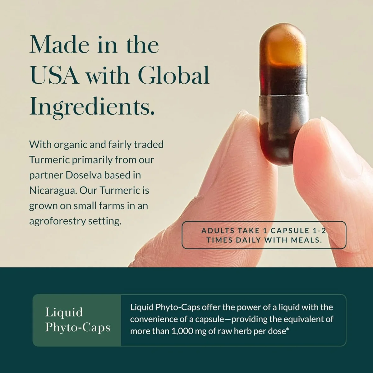 Gaia Herbs, Turmeric Supreme®, 60 Liquid Phyto-Caps