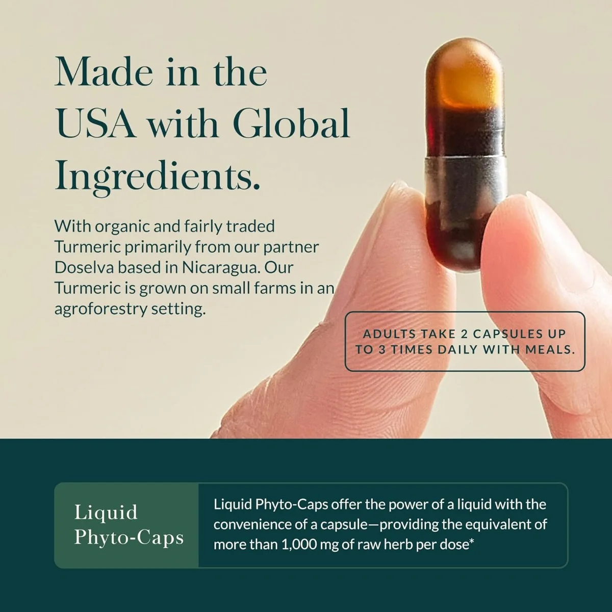 GaiaHerbs Turmeric Supreme Pain LP 60lvc