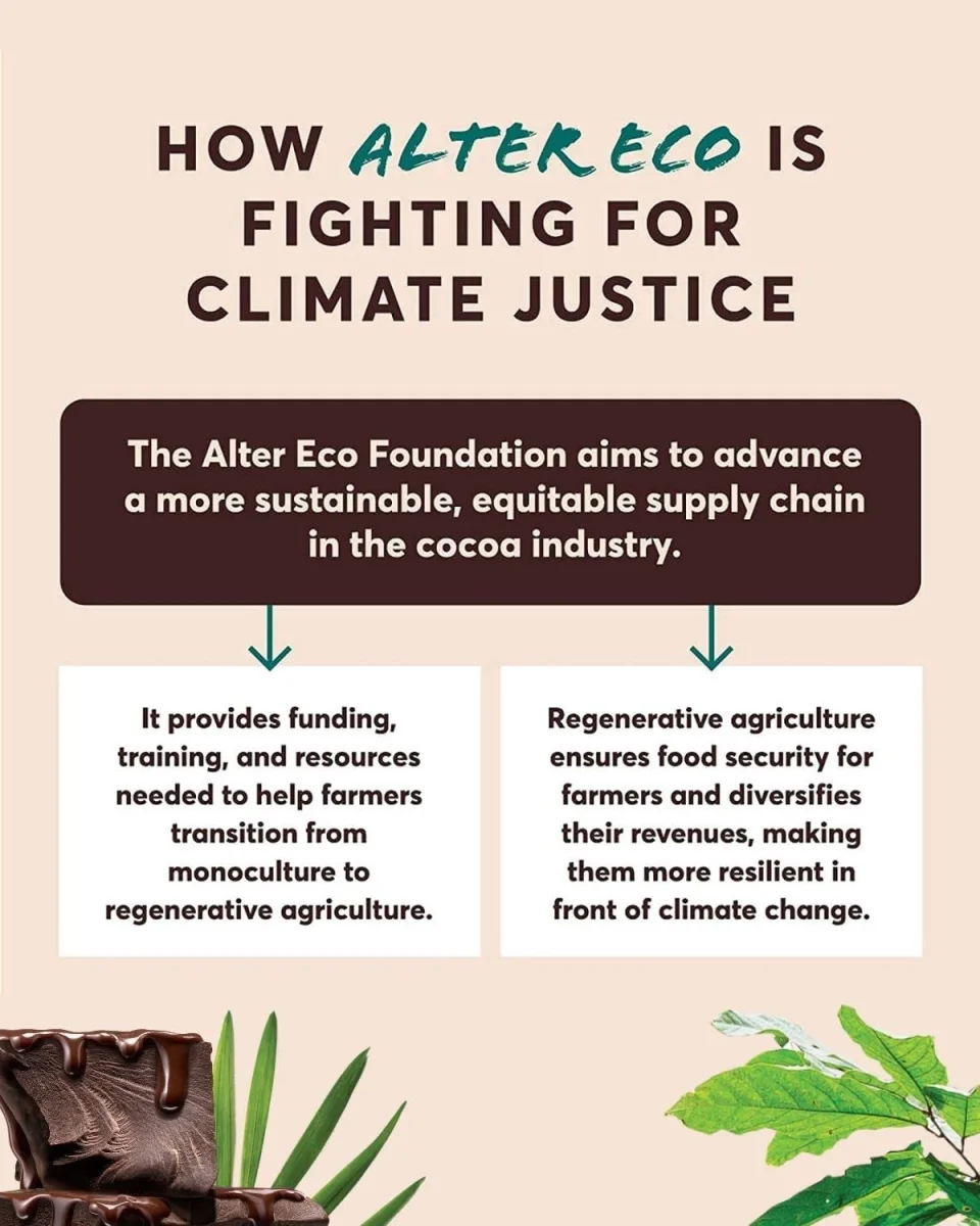 Alter Eco Dark Chocolate Bar, Pure Dark Cocoa