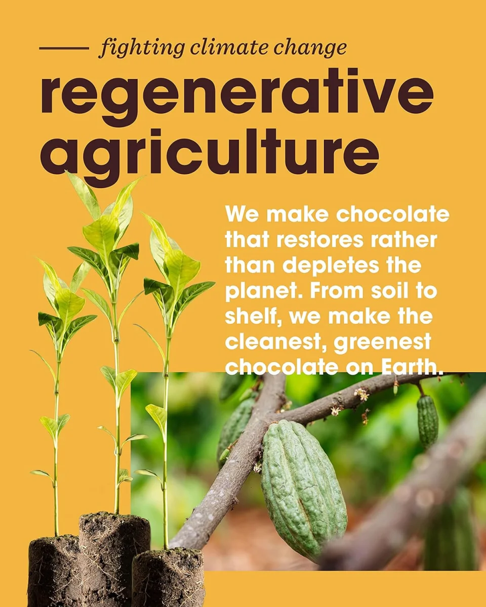 Alter Eco Organic No Added Sugar Granola, Dark Chocolate - 8 oz