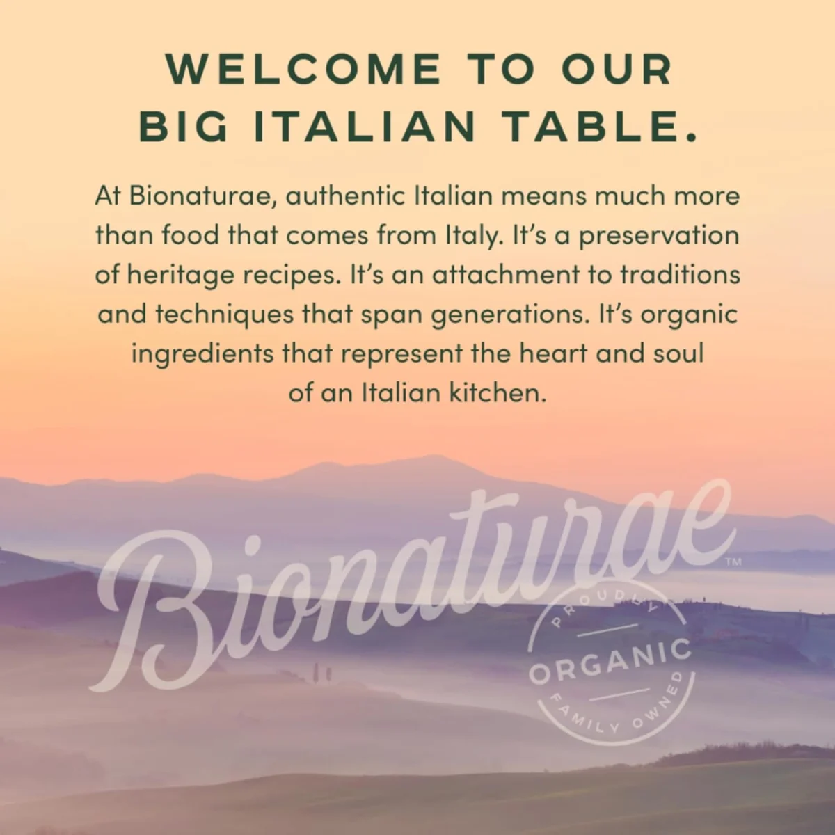 Bionaturae Sourdough Spaghetti - 12 oz