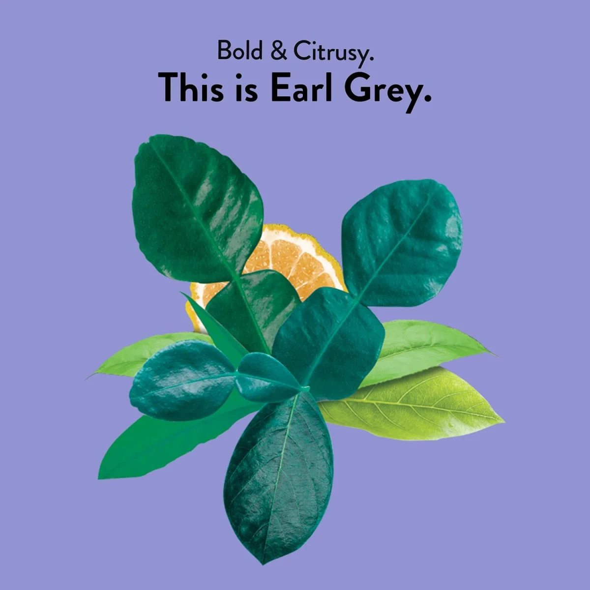 Choice Organics Earl Grey Black Tea - 16 Tea Bags