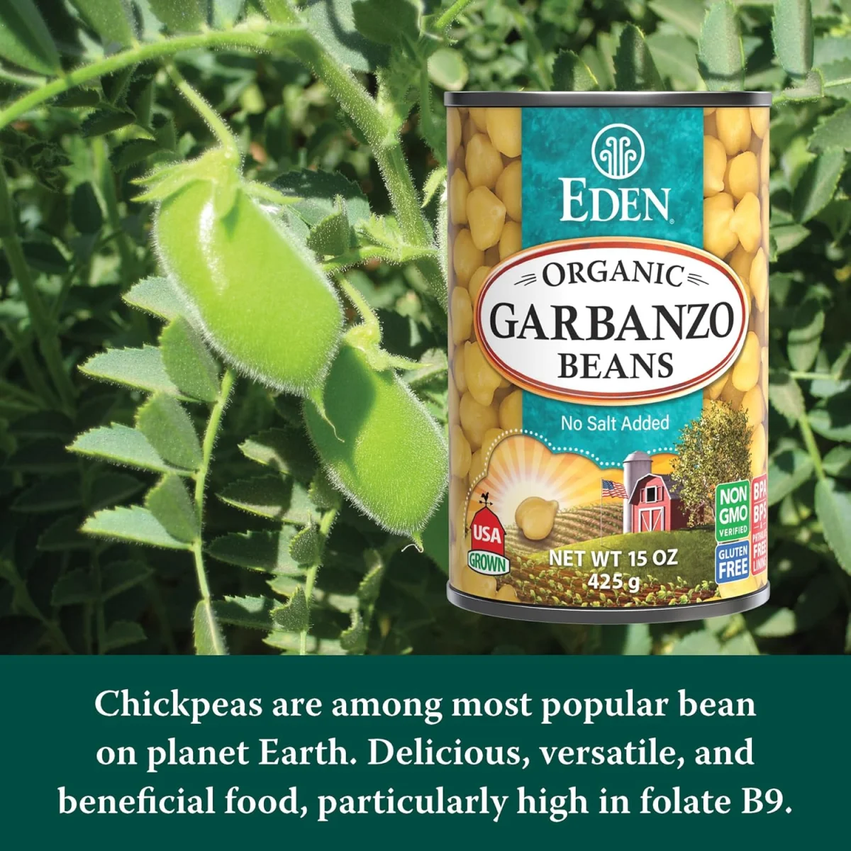 Eden Organic Garbanzo Beans - 15 oz