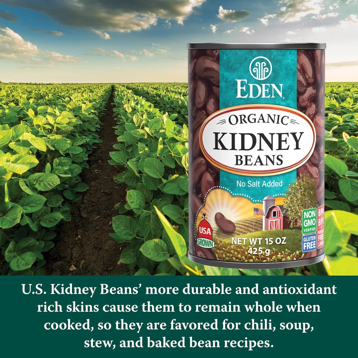 Eden Organic Kidney Beans, No Salt Added - 15 oz