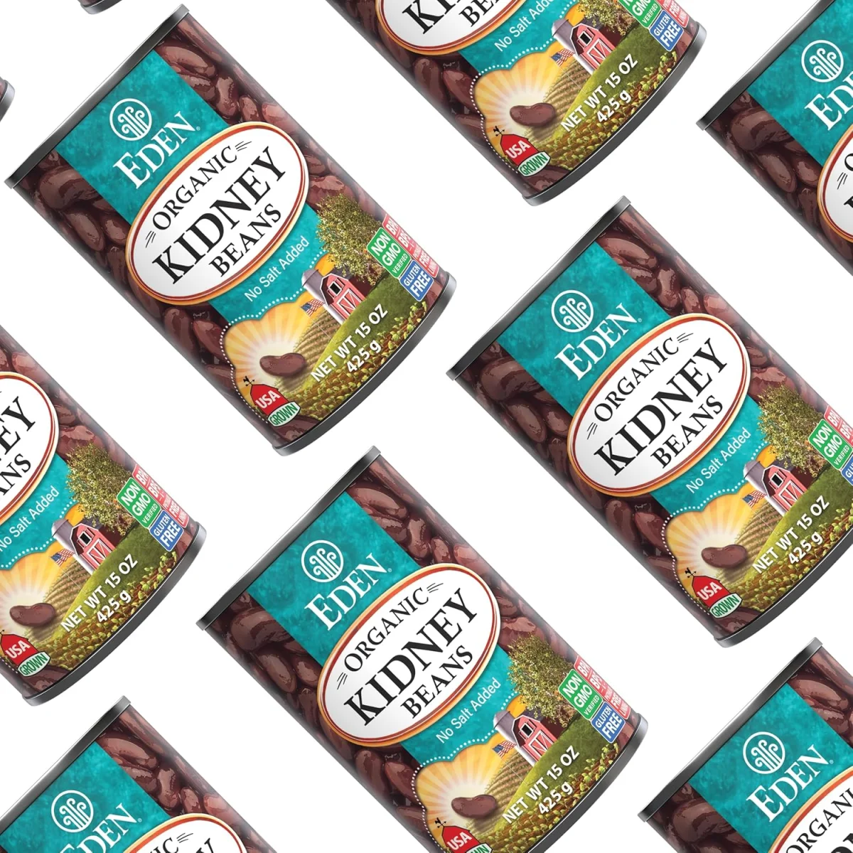 Eden Organic Kidney Beans, No Salt Added - 15 oz