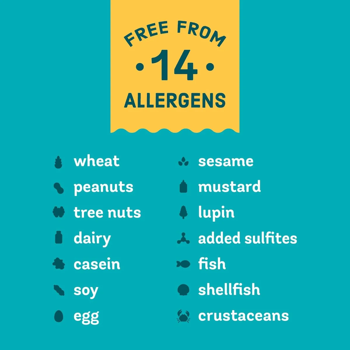 Enjoy Life Real Dark Chocolate Morsels - 9 oz