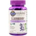 Garden of Life Organics Elderberry Immune Gummy - 120 Gummies - Image 1
