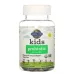 Garden of Life Kids Probiotic Organic Cherry - 3 billion CFU - 30 Vegetarian Gummies - Image 1