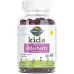 Garden of Life Kids Organic Elderberry with Vitamin C 60 Vegetarian Gummies - Image 1
