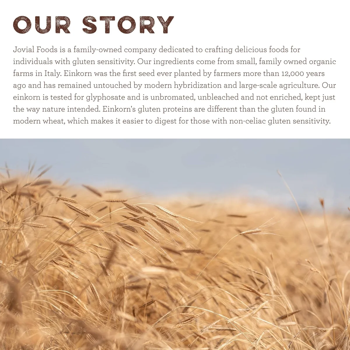 Jovial Organic Einkorn Checkerboard Cookies - 8.8 oz