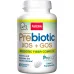 Jarrow Formulas Prebiotics XOS+GOS 90 Chewable Tablets - Image 1