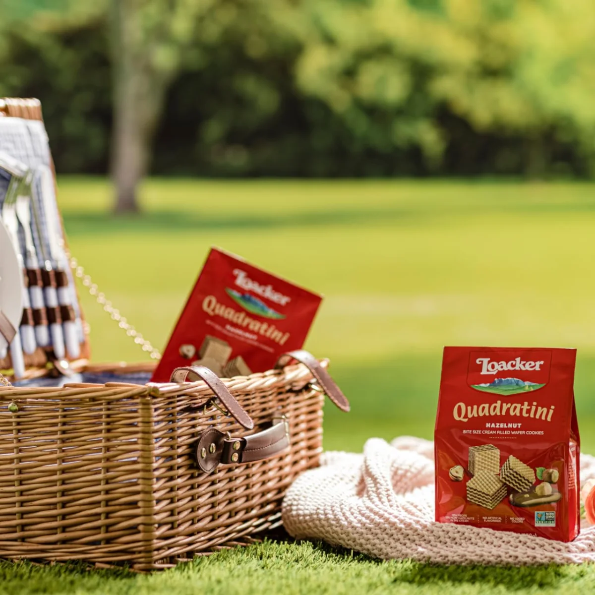 Loacker Quadratini Hazelnut Wafer Cookies - 8.82 oz