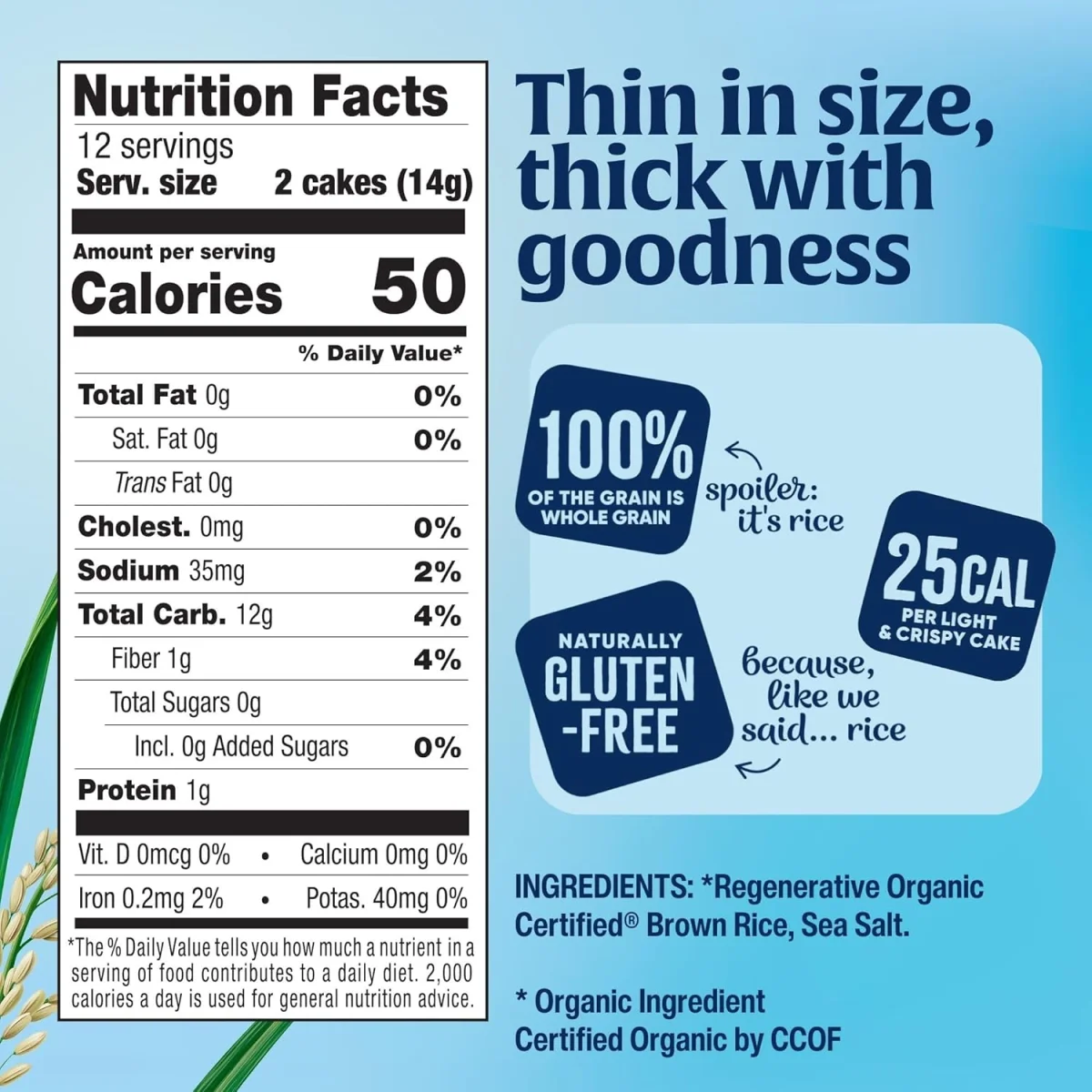 Lundberg Organic Thin Stackers Brown Rice Cakes, Lightly Salted - 6 oz