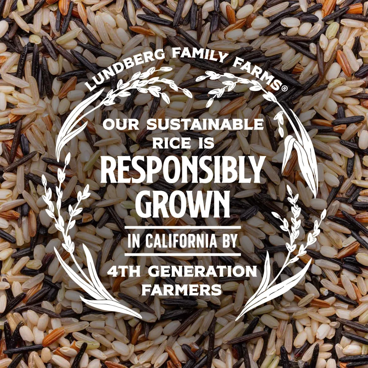 Lundberg Wild Blend Rice - 1 lb