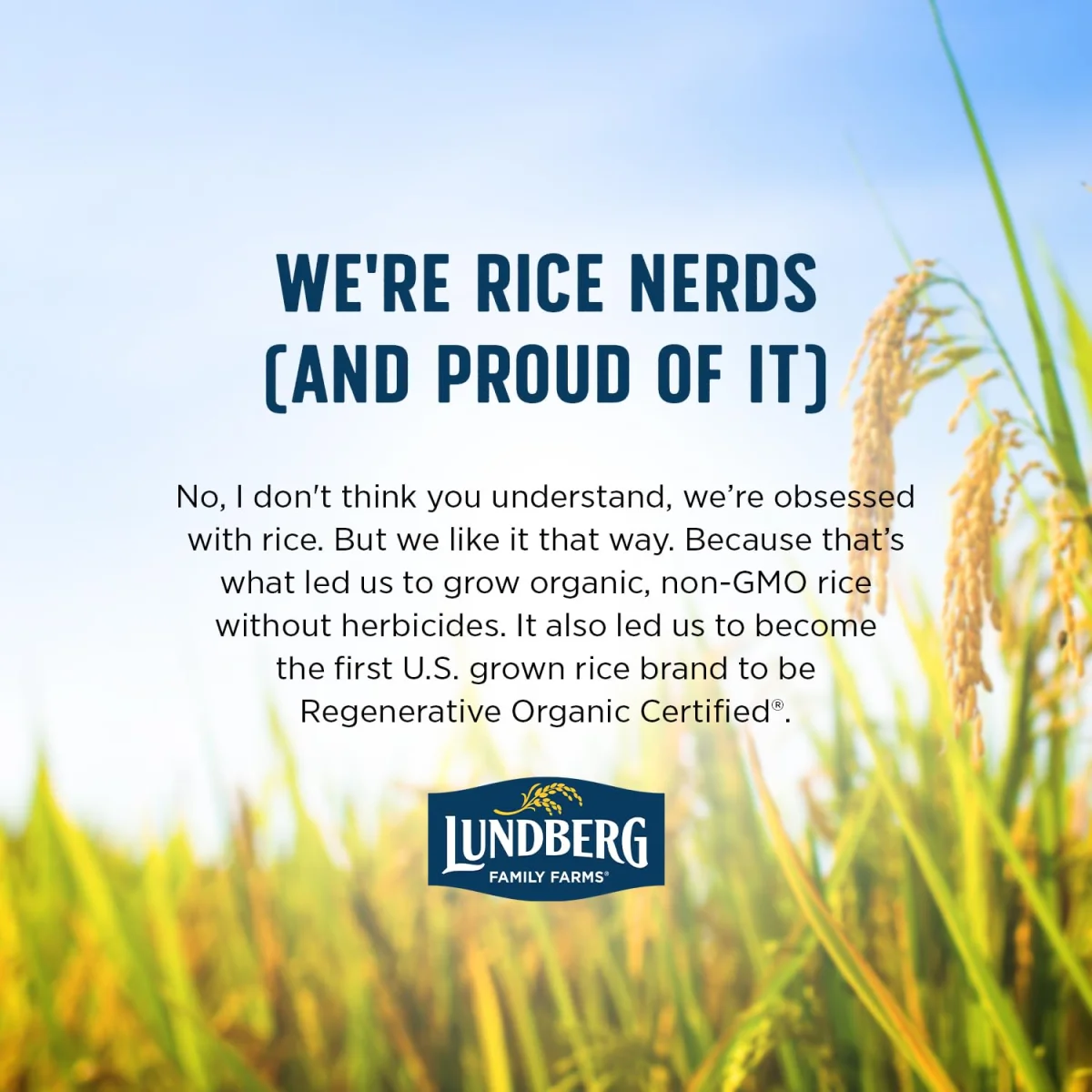 Lundberg Organic Wild Rice - 8 oz