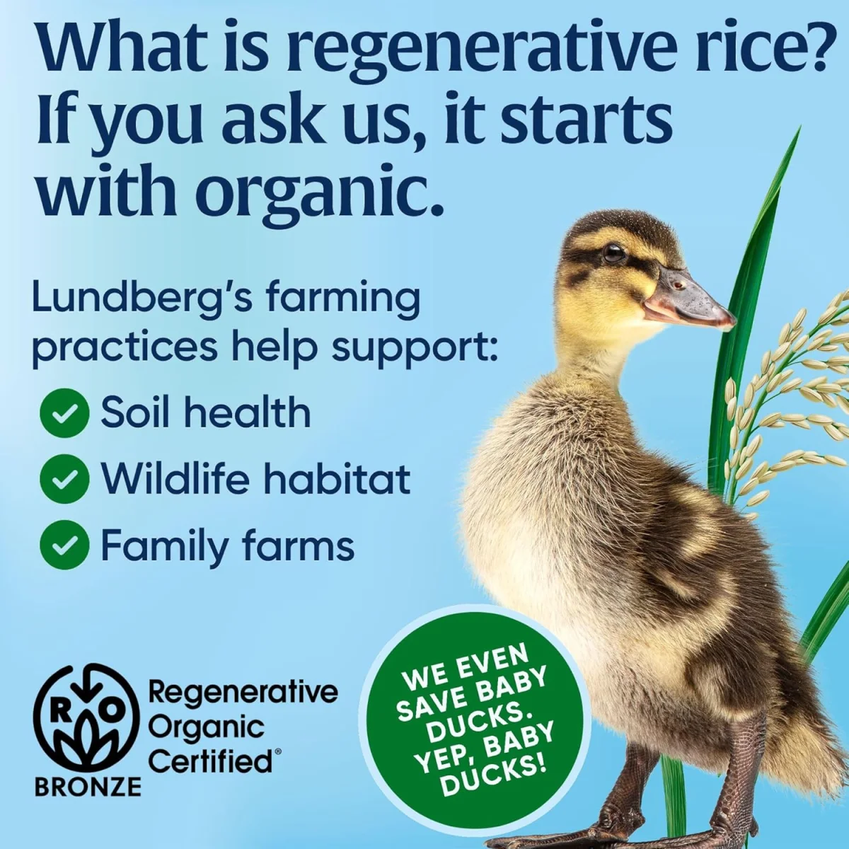 Lundberg Organic White Jasmine Rice, Fully Cooked & Ready to Heat