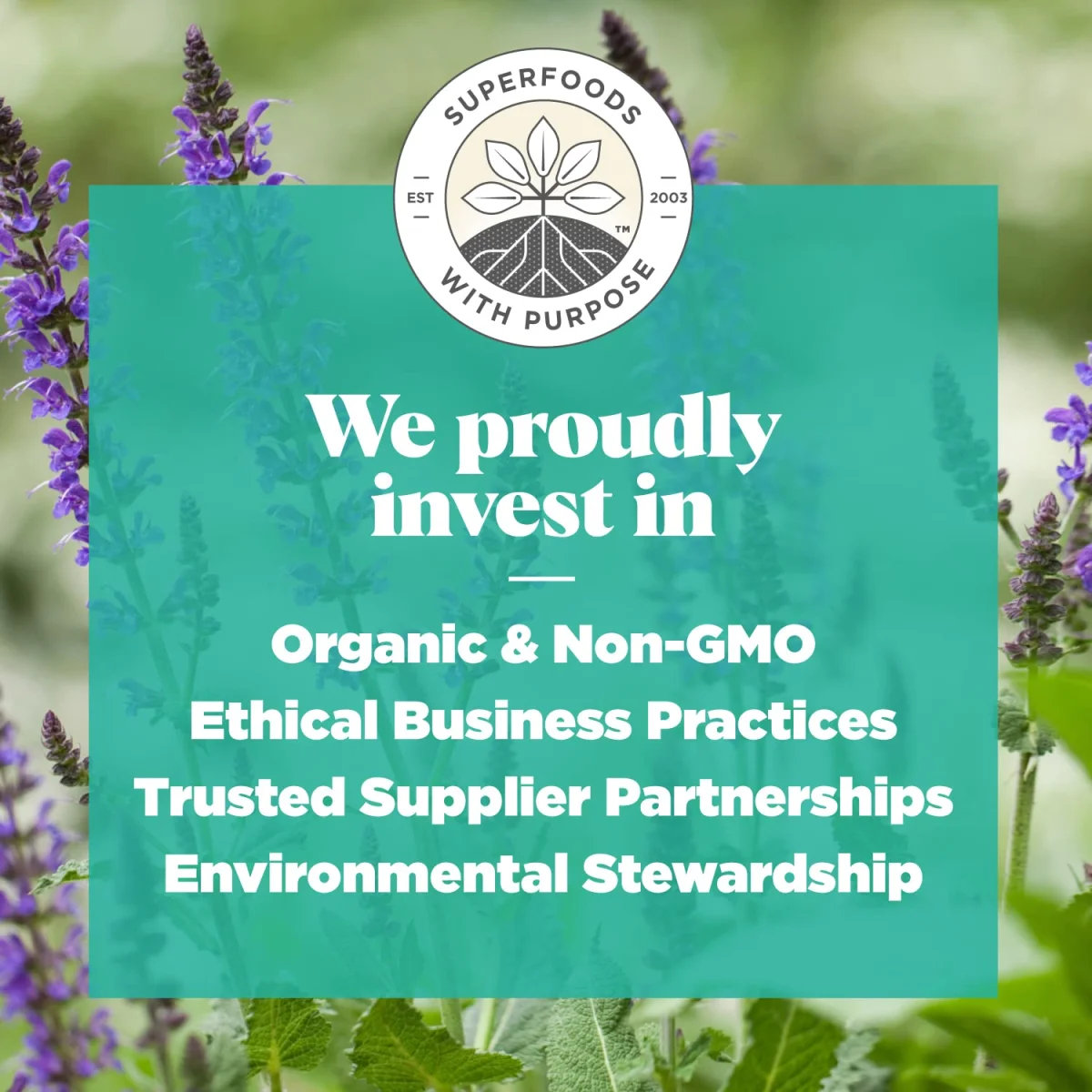 Navitas Organics Organic Chia Seeds, Omega-3s & Fiber - 8 oz