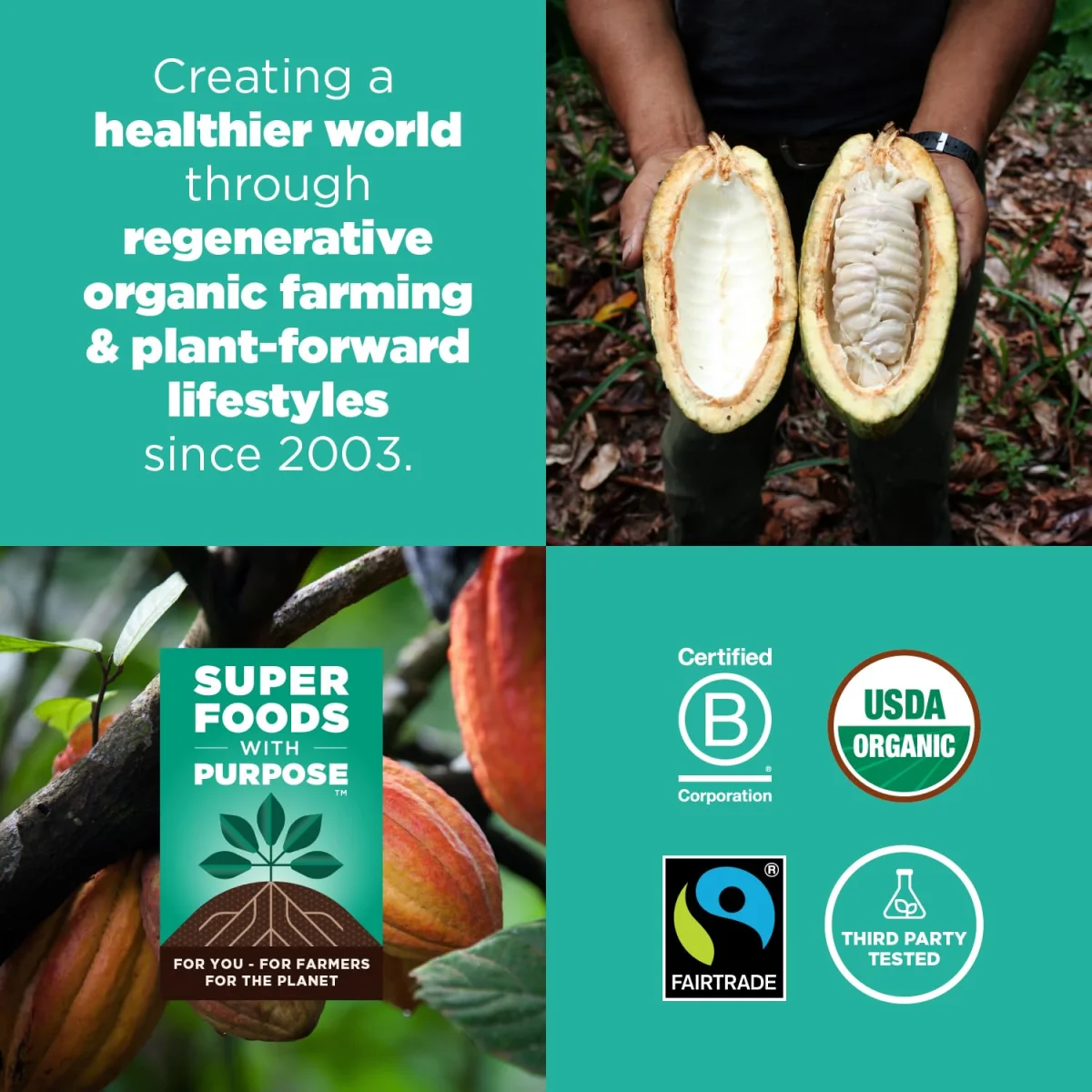 Navitas Organics Organic Unsweetened Cacao Nibs - 8 oz