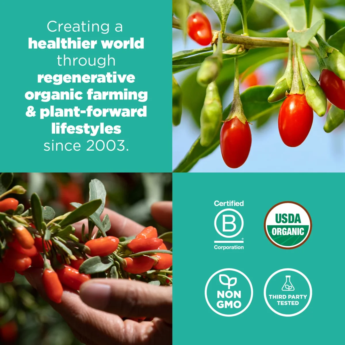 Navitas Organics Goji Berries - 4 oz