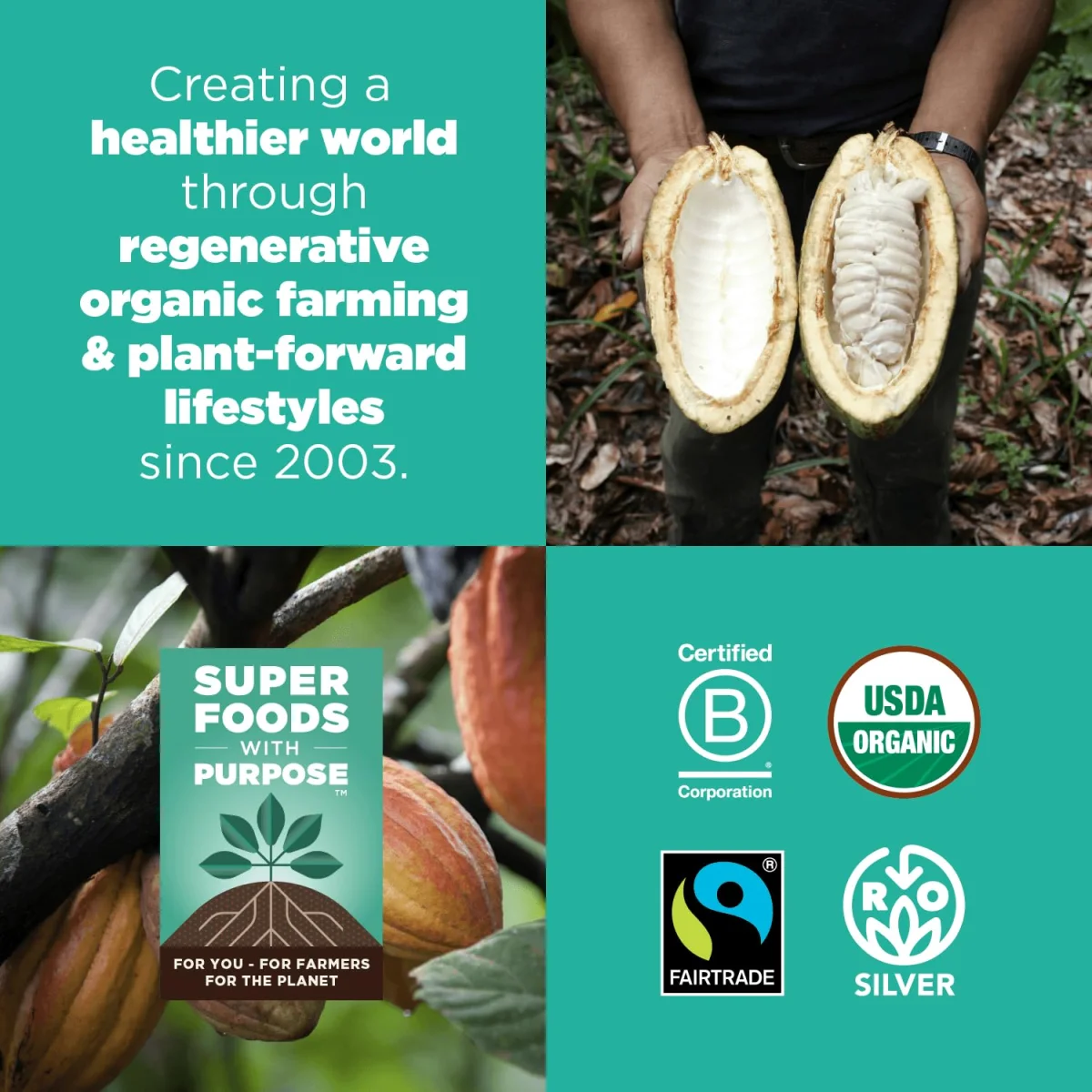 Navitas Organics Organic Unsweetened Cacao Powder - 8 oz