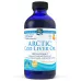 Nordic Naturals Arctic Cod Liver Oil Liquid Fish Oil Orange - 8 fl oz - Image 1