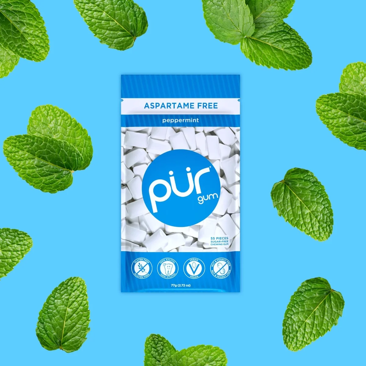 Pur Company Sugar Free Peppermint Gum - 55 Pieces