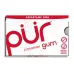 Pur Gum Cinnamon - 9 Pieces - Image 1