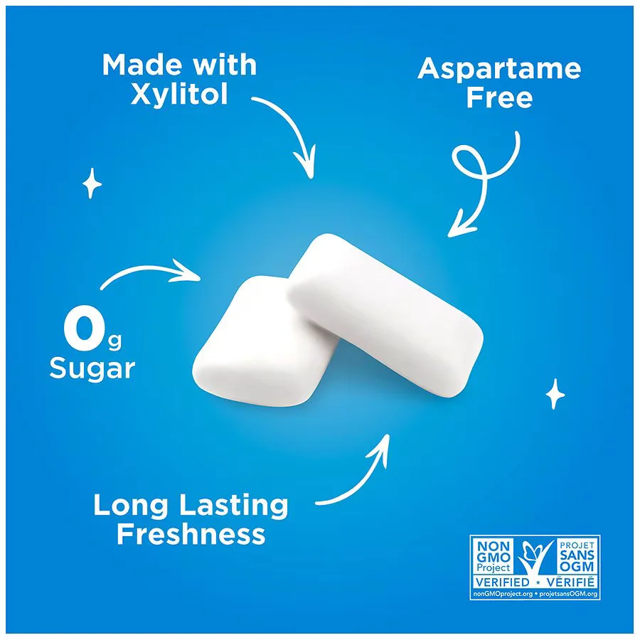 PUR Gum Peppermint Chewing Gum - 9 Pieces