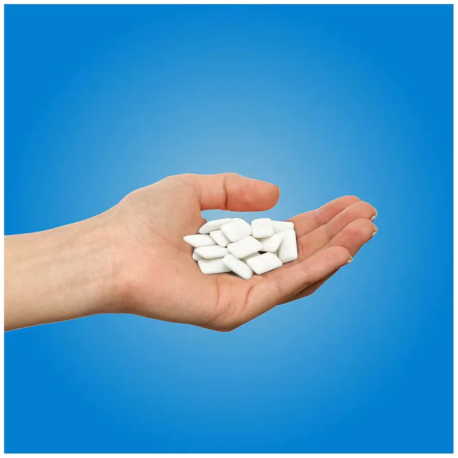 PUR Gum Peppermint Chewing Gum - 9 Pieces